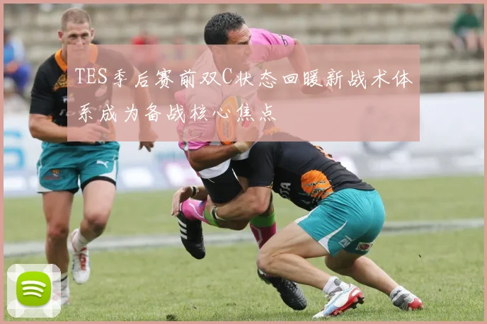 TES季后赛前双C状态回暖新战术体系成为备战核心焦点